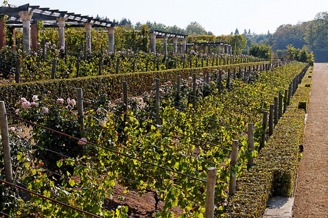 Chateau du Champ de Bataille-098